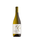 Chardonnay Trentino DOC 2023 - Rotaliana