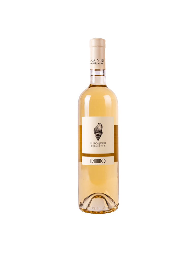 Bianco Emilia IGT 2021 - Illica Vini