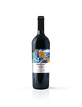 Irpinia Aglianico DOC 2022 TintoTerra - Giovanni Molettieri