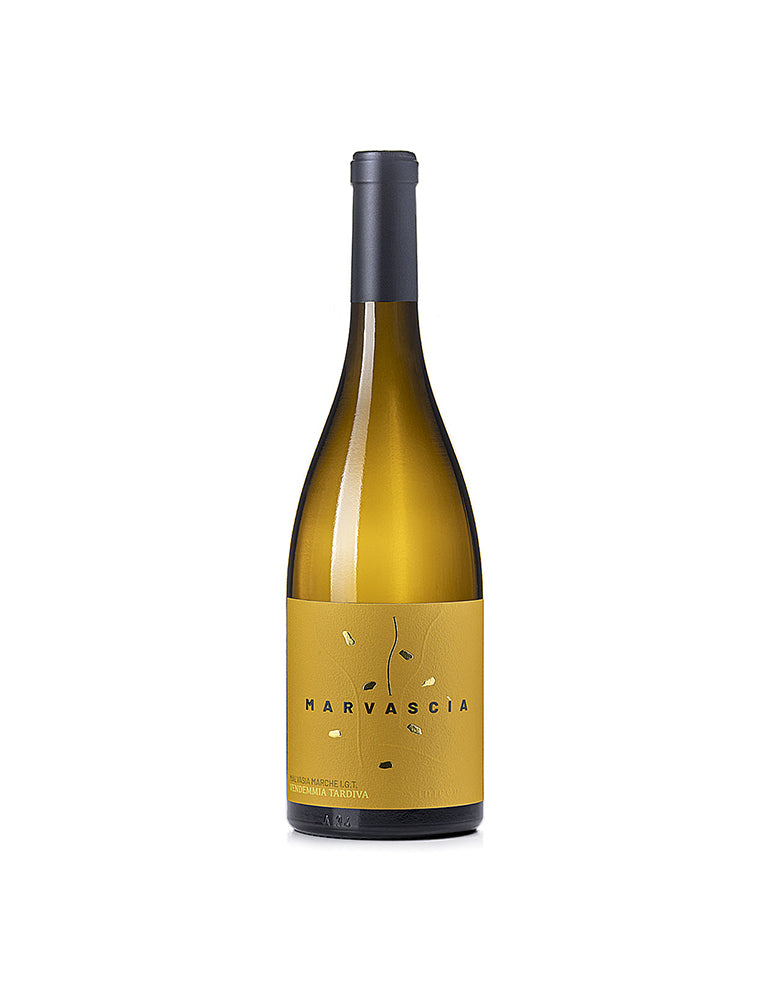 Malvasia Marche IGT 2024 Marvascia - Centanni