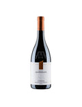 Montepulciano d'Abruzzo DOC 2023 Corium - Tenuta Antonini