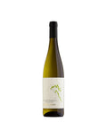 Muller Thurgau Trentino DOC 2023 - Rotaliana